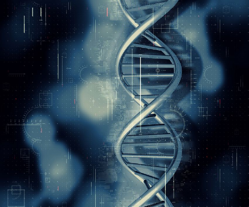 RF-EMF exposure can danager DNA. RF-EMF exposure can danager DNA.