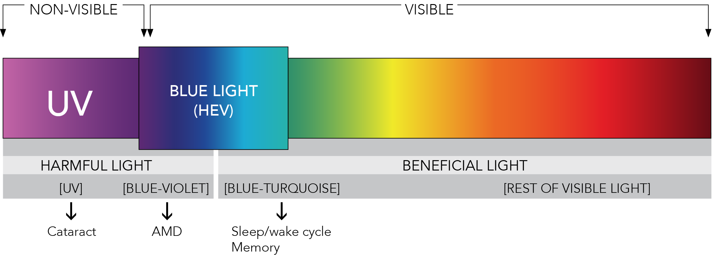 Blue Light Glasses